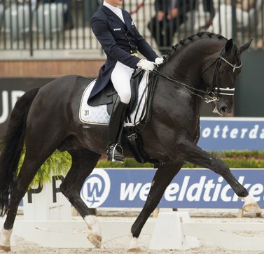 totilas-cheval-dressage-cher-monde