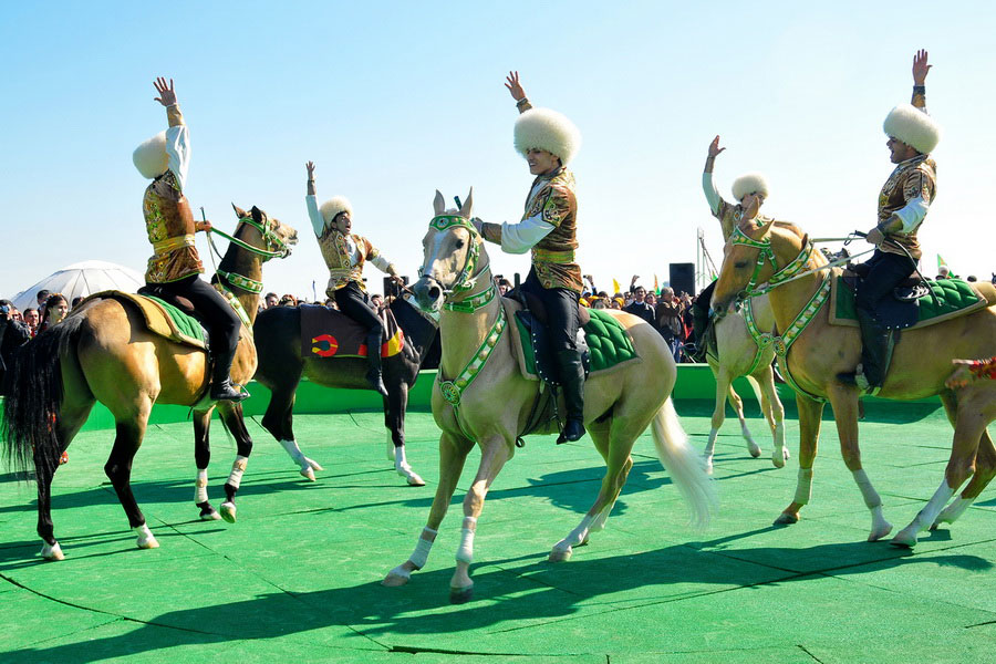 cheval cavalier turkmene akhal teke