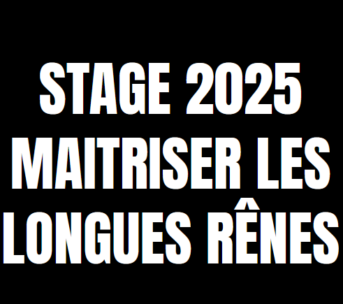 longues renes stage lille pensions lille centre equestre forest