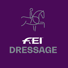 fei dressage equitation frison